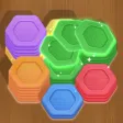 Wood Hexa Puzzle