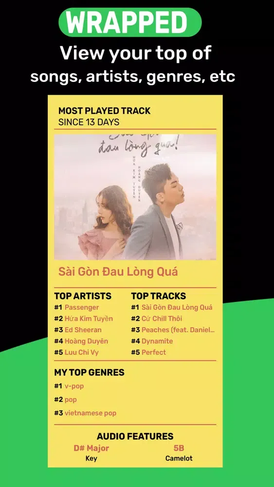 Music Statistics for Spotify應用截圖