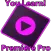 You Learn! For Premiere Pro