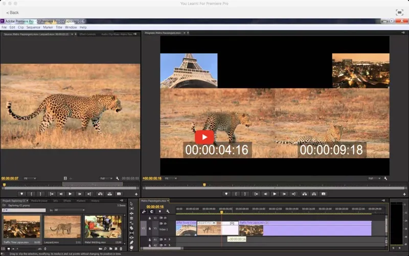 Capturas de pantalla de You Learn! For Premiere Pro