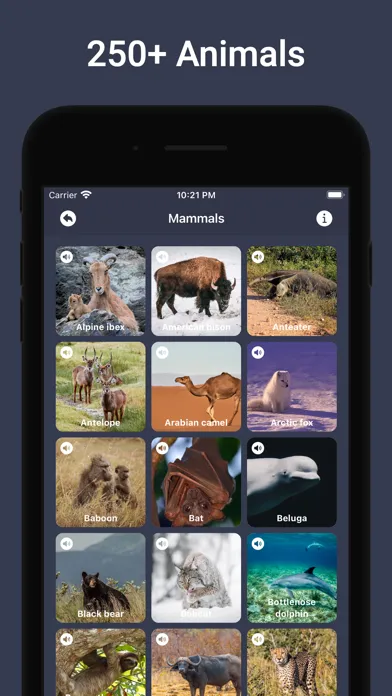 Animal Sounds & Bird Noises Screenshots