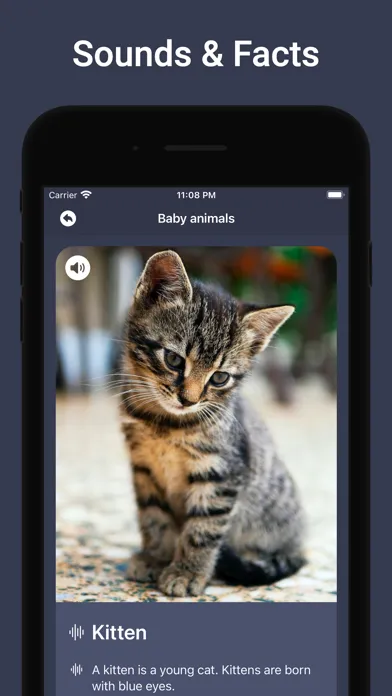 Animal Sounds & Bird Noises Screenshots