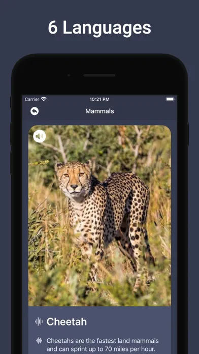 Animal Sounds & Bird Noises Screenshots