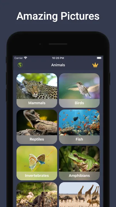Animal Sounds & Bird Noises Screenshots