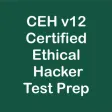 CEH v12 Test Prep 2024