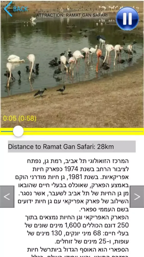 CeiboTours Israel سکرین شاٹس