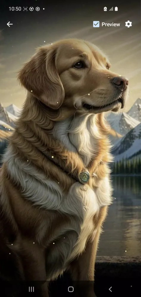 تصاویر Golden Retriever Wallpaper