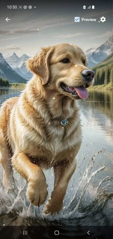 تصاویر Golden Retriever Wallpaper