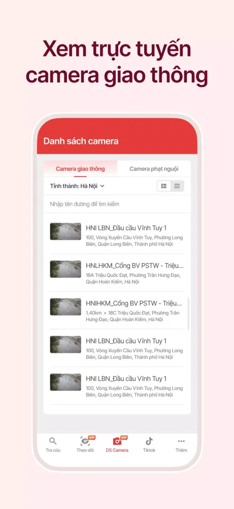 Vietnamese Cold Penalty Lookup 스크린샷