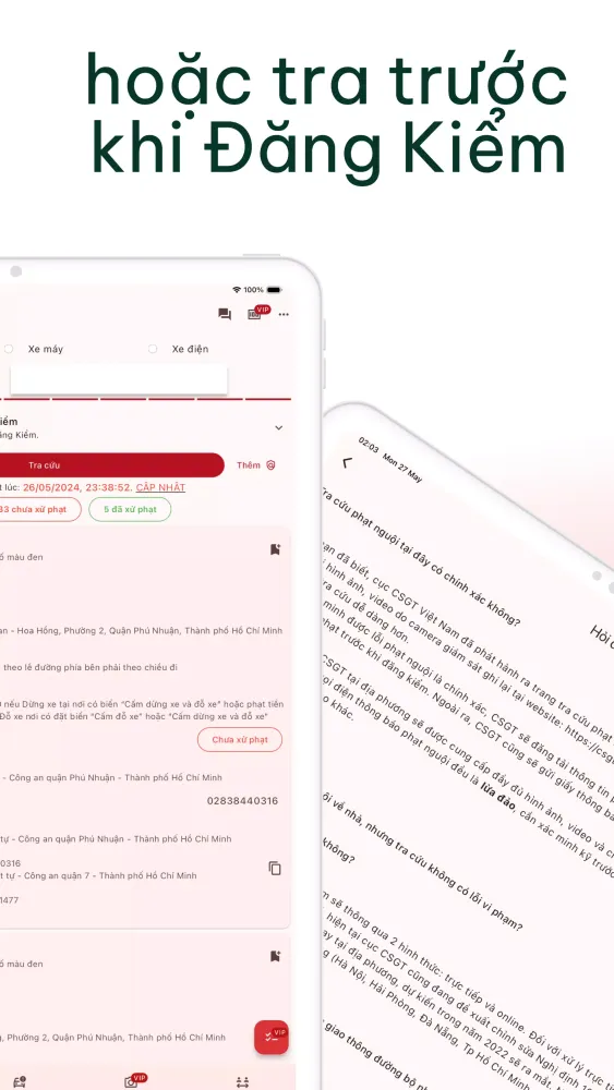 Vietnamese Cold Penalty Lookup 스크린샷
