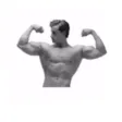 Army Body Fat Percentage Calculator for iPhone