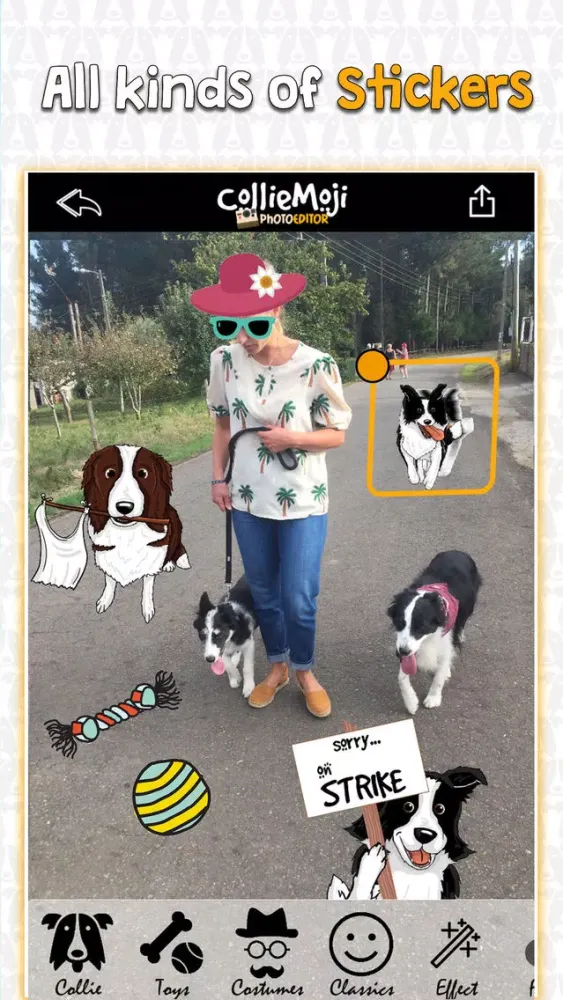 Capturas de tela do CollieMoji Photo Editor