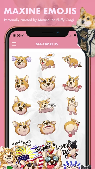 Скриншоты MaxiMojis - Corgi dog stickers