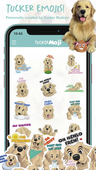 تصاویر TuckerMoji - Tucker Budzyn Dog