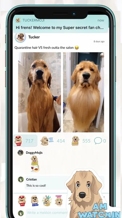 تصاویر TuckerMoji - Tucker Budzyn Dog