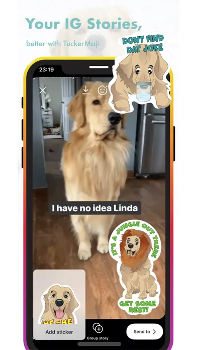 تصاویر TuckerMoji - Tucker Budzyn Dog