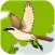 Small Bird Puzzle Game - A fun & addictive puzzle matching game