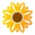 Sunflower Health Plan
