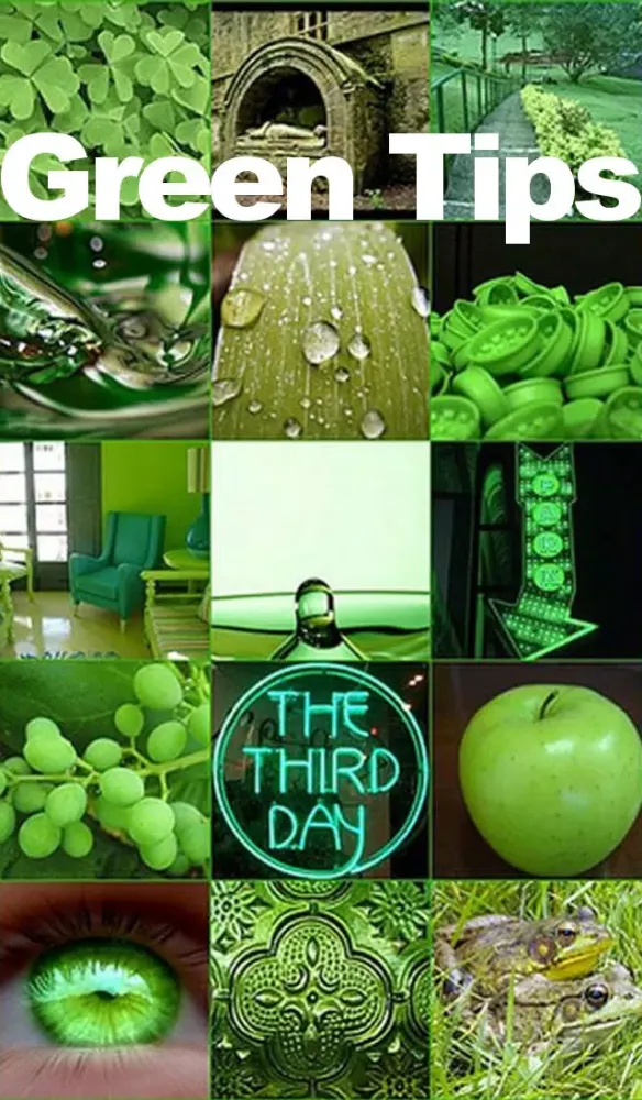 تصاویر Green Choice