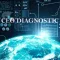 CEO Diagnostic
