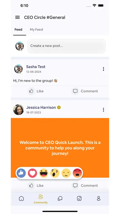 Zrzuty ekranu CEO Quick Launch