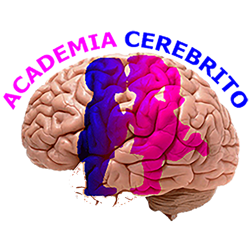 Academia Cerebrito