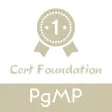 PMI-PgMP Test Prep PMI-PgMP Test Prep