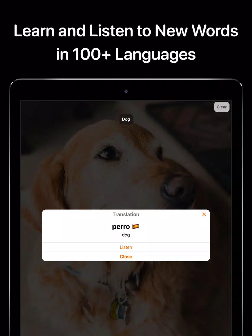 Screenshot di Translate Things in AR iPad 