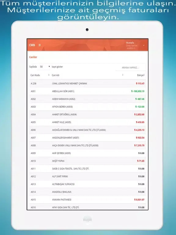 CWB Online İş Zekası iPad  স্ক্রিনশট