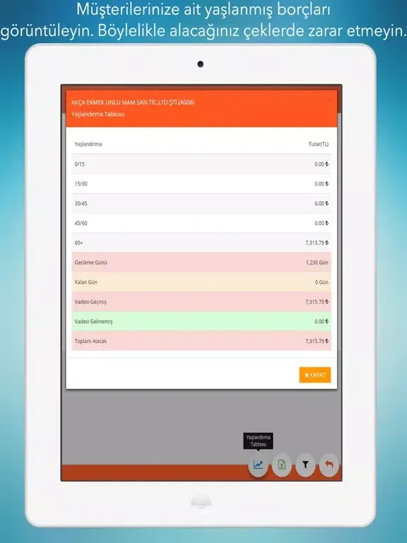 CWB Online İş Zekası iPad  স্ক্রিনশট