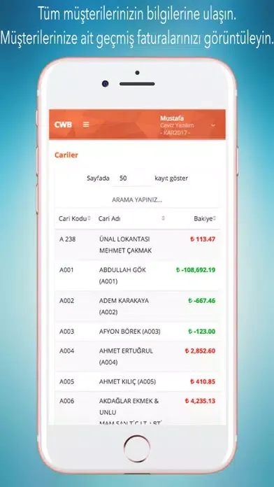 CWB Online İş Zekası স্ক্রিনশট