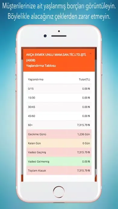 CWB Online İş Zekası স্ক্রিনশট