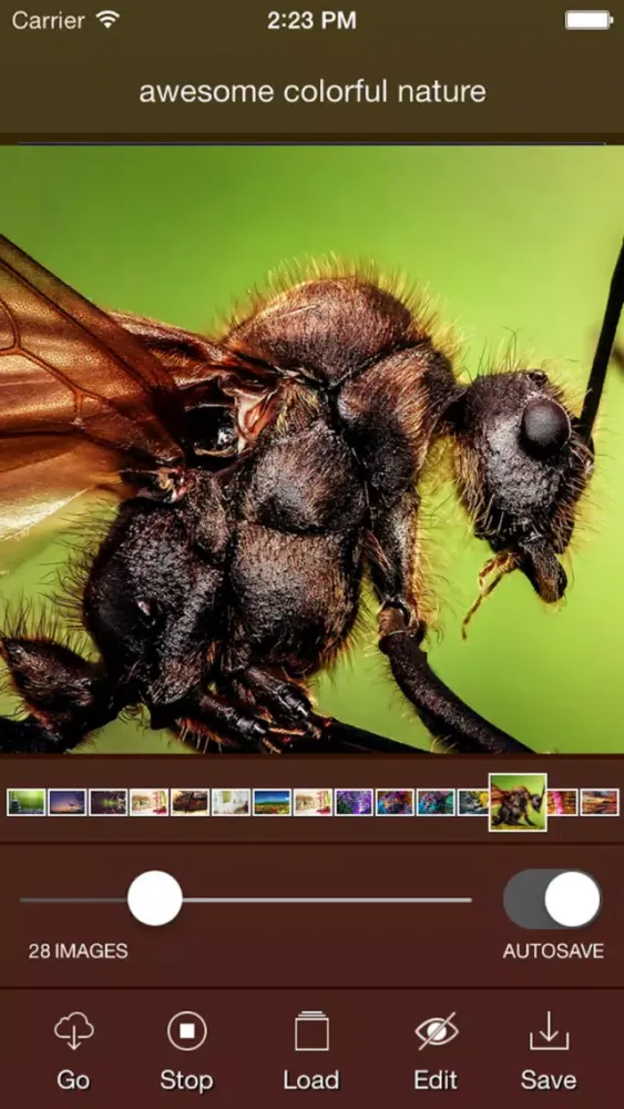 Screenshot di Piczer