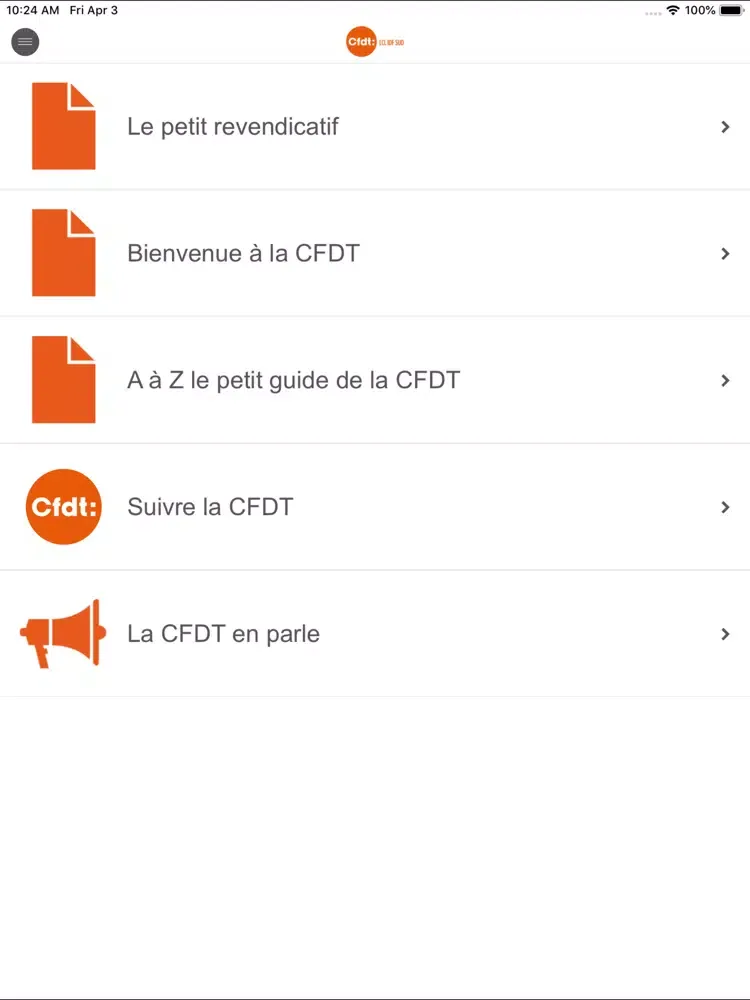 تصاویر CFDT LCL SUD OUEST iPad 