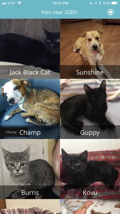 Pet Adoptions - CFO Screenshots