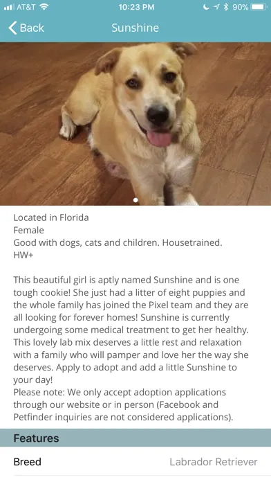 Pet Adoptions - CFO Screenshots