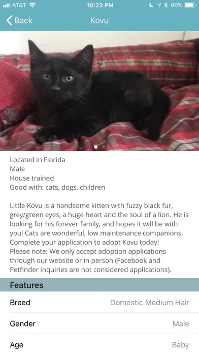 Pet Adoptions - CFO Screenshots