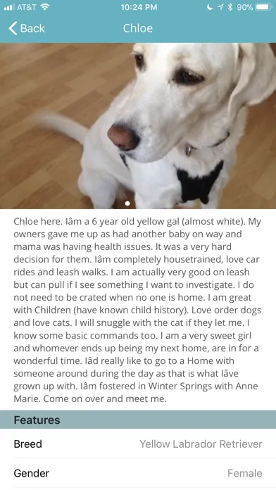Pet Adoptions - CFO Screenshots