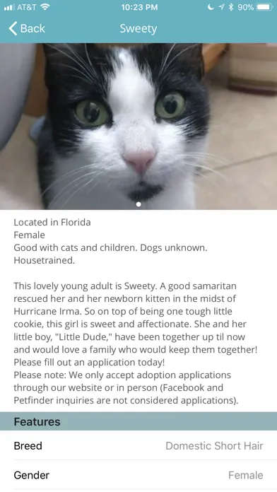 Pet Adoptions - CFO Screenshots
