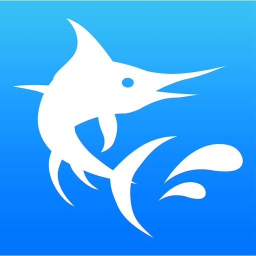 SailfishX-AI加速器