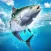 Fishing Rival 3D
