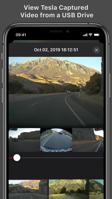 Screenshot di Cam Viewer for Tesla