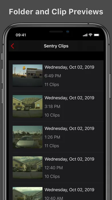 Screenshot di Cam Viewer for Tesla