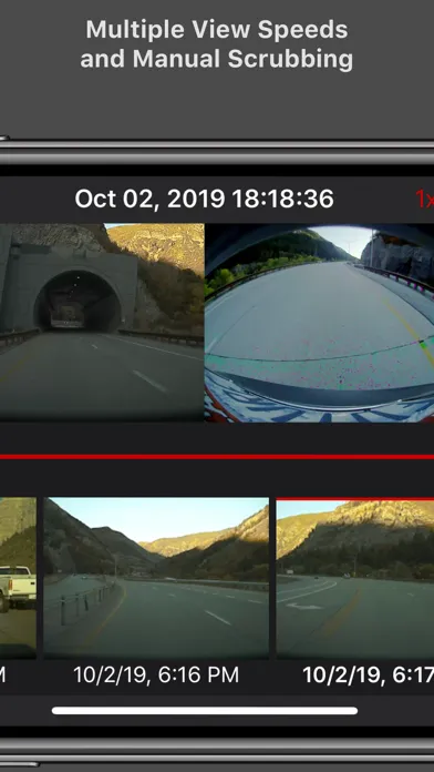 Screenshot di Cam Viewer for Tesla