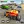 Formula Car Racing: Car Race