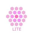 Hexa Quilt Lite Hexa Quilt Lite