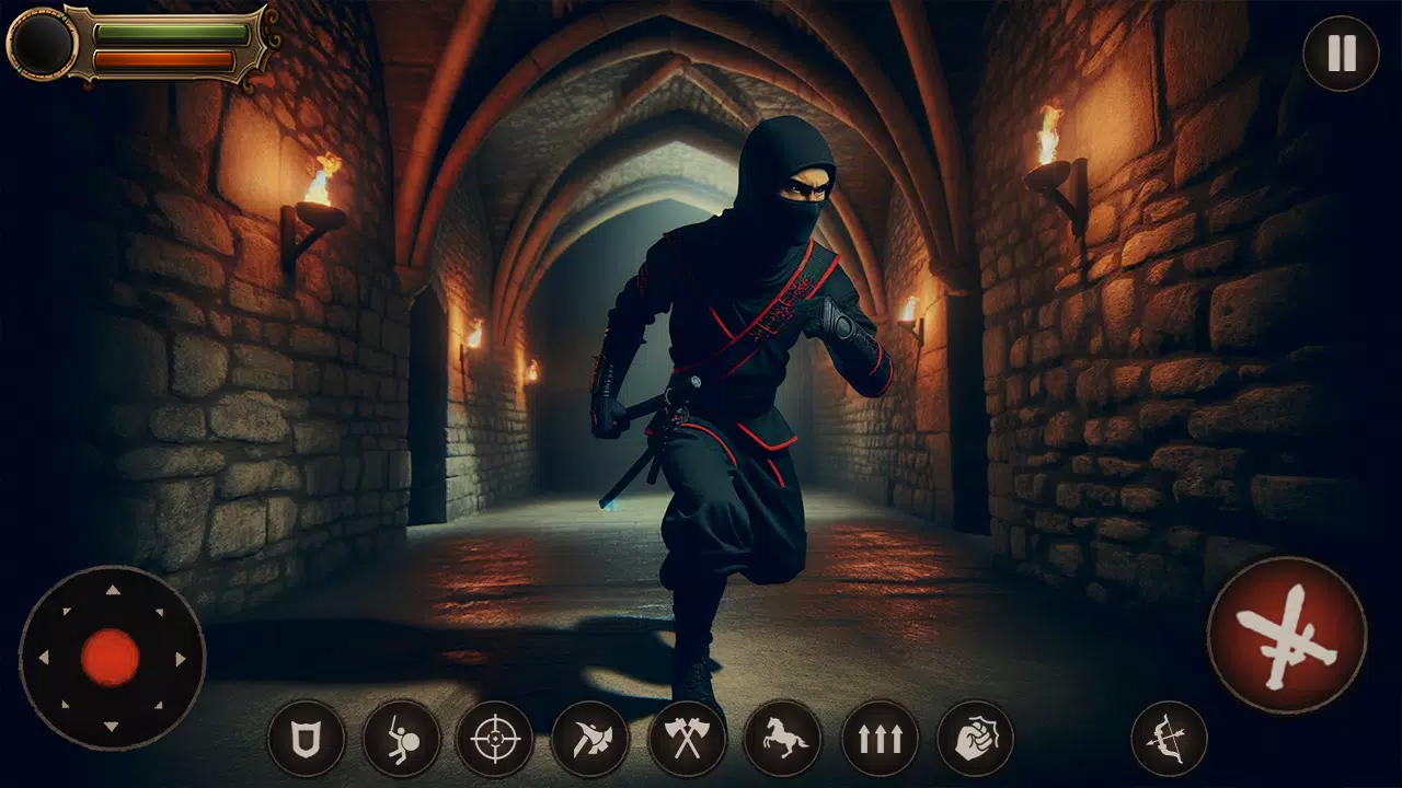 Ninja Samurai Assassin Hunter Screenshots