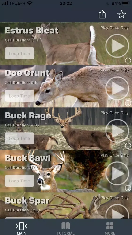 Whitetail Deer Calls for Hunt应用截图