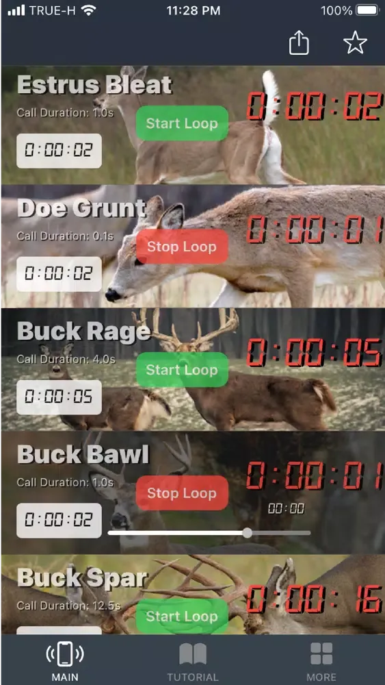 Whitetail Deer Calls for Hunt应用截图