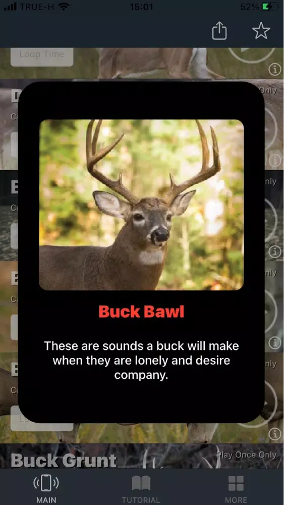 Whitetail Deer Calls for Hunt应用截图